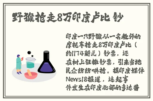 办公室沙发**12P